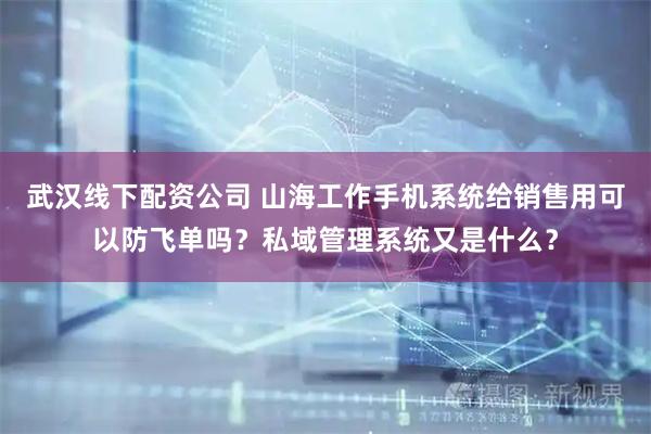 武汉线下配资公司 山海工作手机系统给销售用可以防飞单吗？私域管理系统又是什么？