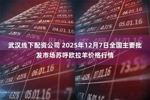武汉线下配资公司 2025年12月7日全国主要批发市场苏呼欧拉羊价格行情