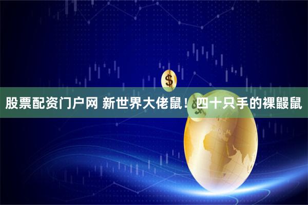 股票配资门户网 新世界大佬鼠！四十只手的裸鼹鼠