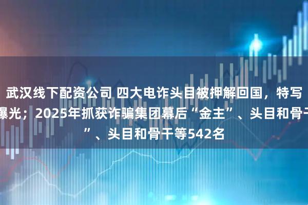 武汉线下配资公司 四大电诈头目被押解回国，特写画面首次曝光；2025年抓获诈骗集团幕后“金主”、头目和骨干等542名