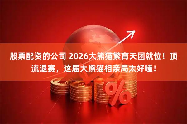 股票配资的公司 2026大熊猫繁育天团就位！顶流退赛，这届大熊猫相亲局太好嗑！