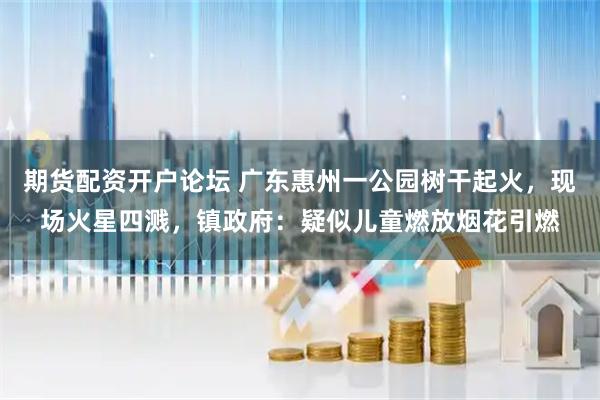 期货配资开户论坛 广东惠州一公园树干起火，现场火星四溅，镇政府：疑似儿童燃放烟花引燃