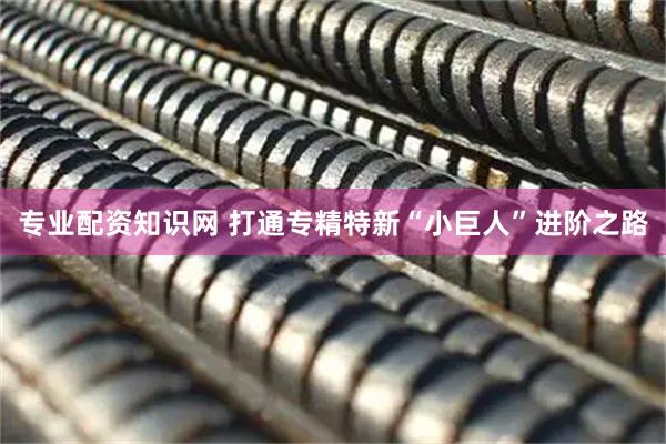 专业配资知识网 打通专精特新“小巨人”进阶之路